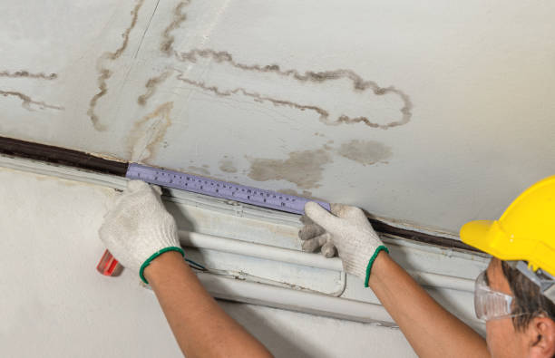 Reliable Burst Pipe Cleanup contractor in Gray, GA by Water Damage Irwin